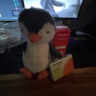timontogo
