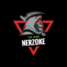 NerZoKe63