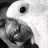 Maddmaxx54