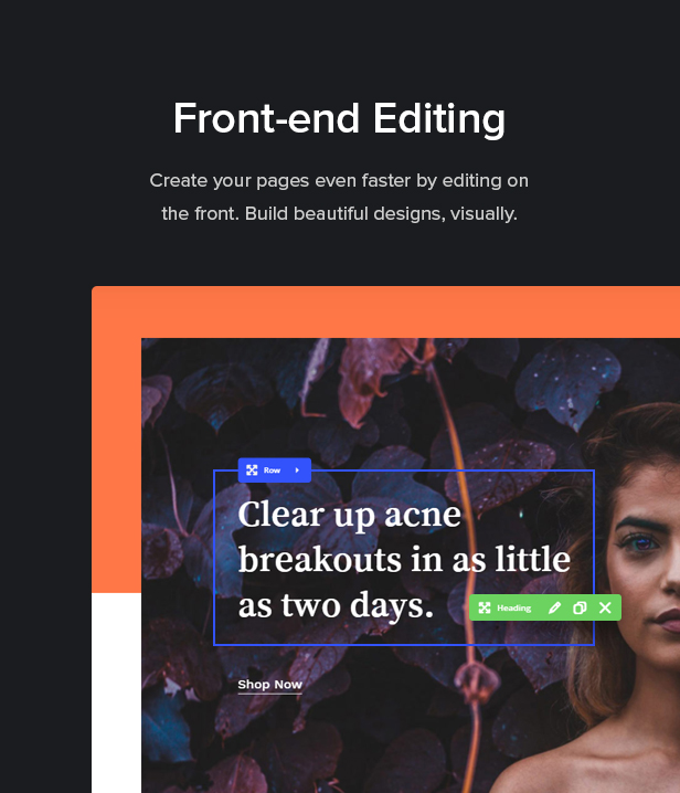 front end editor